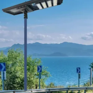 Panda B Adjustable Light Module Integrated solar street light